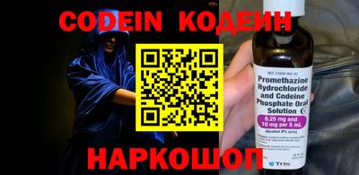 a pvp Камышлов
