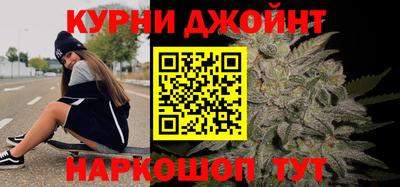 a pvp Камышлов