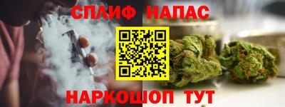 a pvp Камышлов