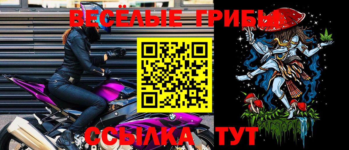 Галлюциногенные грибы Cubensis Кыштым